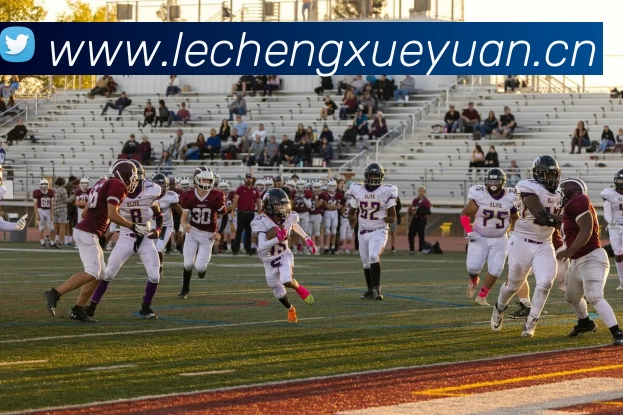 App Interface Preview